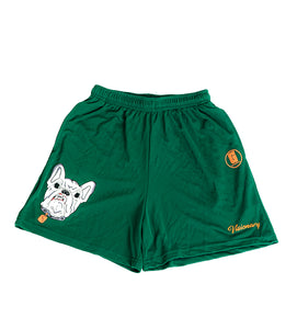 Visionary Youth Shorts in Green